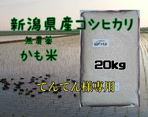 無農薬米新潟県産コシヒカリ20k