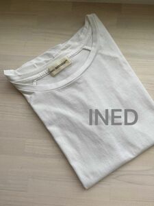 INED Tシャツ　Mサイズ