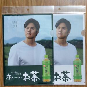 【非売品】伊藤園　おーいお茶　大谷翔平　クリアファイル　２種セット！