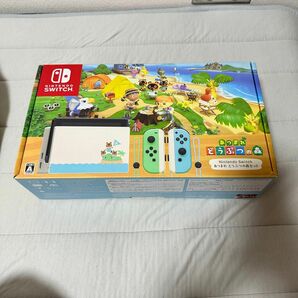 Switch あつまれどうぶつの森 空箱 