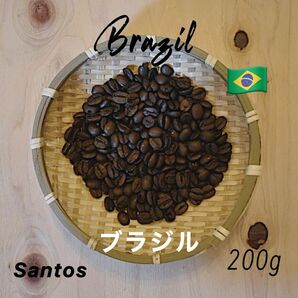 コーヒー豆 ブラジル サントス 200g Bluemoose Plant