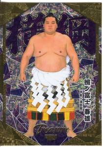 2024 BBM large sumo card ..no Fuji spring male TREASURE insert card (/25)