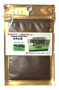 【おすすめ】 水中のグリーン絨毯 ミニリーフ 水草の種