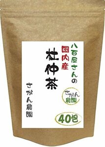 【特価】 健康茶さがん農園 お得用 ティーパック 杜仲茶 3．0ｇ×40包 国産