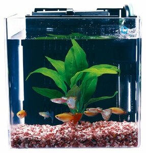 【おすすめ】 （Tｅｔｒａ） スマート熱帯魚飼育セットSP－17TF テトラ