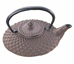 【お買い得品】 Iｗａｃｈｕ 南部鉄器13001 0．5L 岩鋳 平アラレ（小） 燗瓶 こげ茶