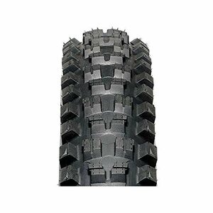 【現品限り】 29X2．3 チューブレスレディ ［TUBELESS タンケン READY］ 700X58C IRC（アイアー