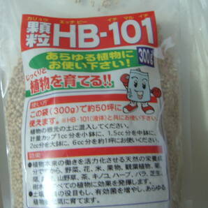 新品 HB-101 300g 顆粒 x3袋 フローラ HB-101 園芸肥料 植物活力剤 の画像2