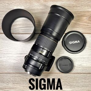 ★安心保証★送料無料★SIGMA 170-500mm f/5-6.3 APO CANON