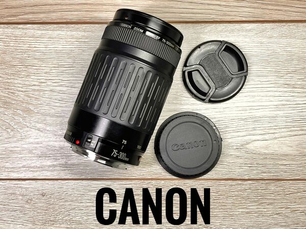 ★安心保証★送料無料★CANON ZOOM EF 75-300mm f/4-5.6 #809