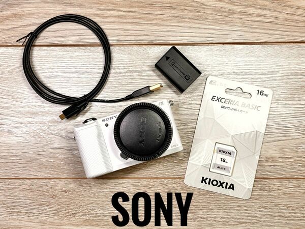 ★安心保証★送料無料★SONY α5000 #8020091