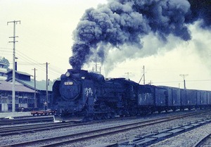 D51 481