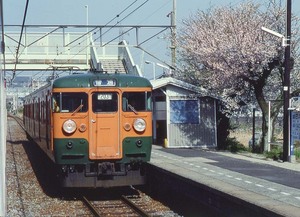 115系 デカ目 安芸幸崎の桜