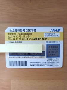 ANA株主優待券　有効期限2024年11月30日 ③