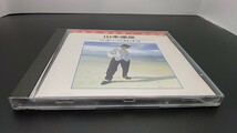 CD 山本達彦 / NEW BEST NOW ニュー・ベスト・ナウ / 旧規格 CA32-1449_画像1