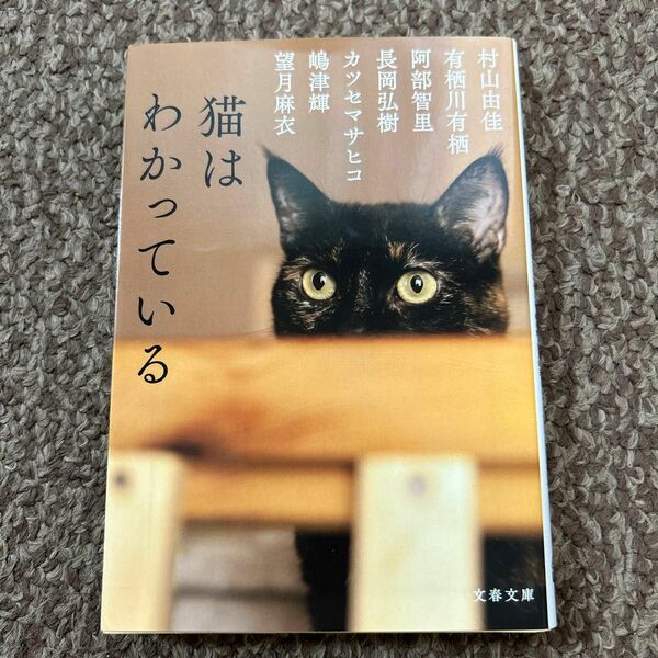 猫はわかってい　村山由佳／著　有栖川有栖／著　阿部智里／著　長岡弘樹／著　カツセマサヒコ／著　嶋津輝／著　望月麻衣／著