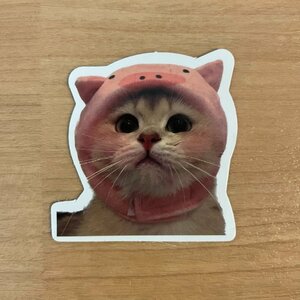 【即日発送】猫ミーム ステッカー 1枚 ピンク着ぐるみ