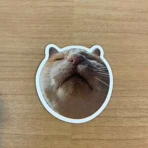 【即日発送】猫ミーム ステッカー 1枚 シール 鼻