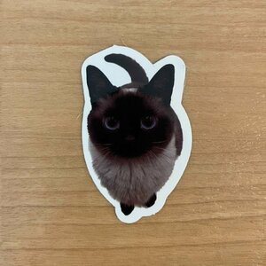【即日発送】猫ミーム ステッカー 1枚 真っ黒