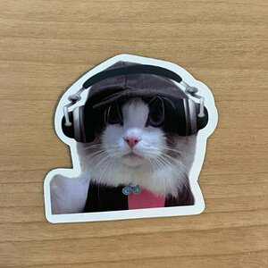 【即日発送】猫ミーム ステッカー 1枚 ヘッドホン