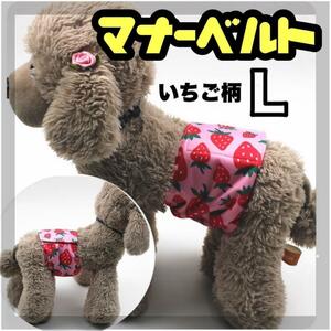  strawberry L manner band manner belt manner wear dog. clothes male manner pants 