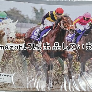 【競馬】G1ホース フォト 写真 ポスター カレンダー 切り抜き カフェファラオ 福永祐一 フェブラリーステークス