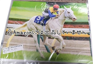 【競馬】G1ホース フォト 写真 ポスター カレンダー 切り抜き ソダシ 吉田隼人 ヴィクトリアマイル