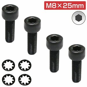 【送料無料】レカロ シート 固定用 高強度 ボルト M8×25 4本set ボルト/内歯ワッシャー AM19 SR6 SR7 SR11 RCS C/D/SR/AM シリーズ