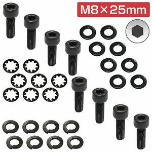 【送料無料】レカロ シート 固定用 高強度 ボルト M8×25 8本set ボルト/ワッシャー/スプリングワッシャー/内歯 AM19 SR6 SR7 SR11 RCS