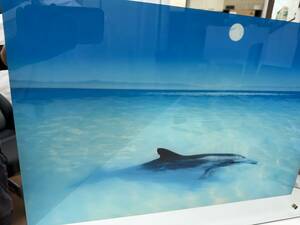 Art hand Auction [Operación confirmada] Pintura iluminada Presentación de diapositivas de delfines *Las olas se mueven, otros, alquiler, Cuadro, Artesanía