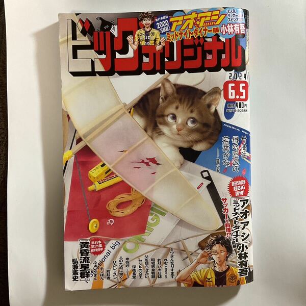 ビッグコミックオリジナル 2024年6月5日　11号