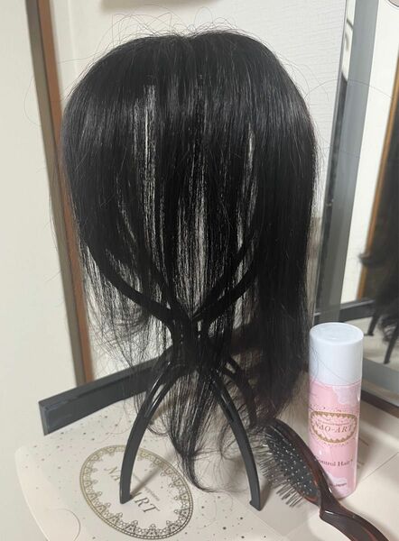 NAO ART ウィッグ　10万円の品 アートネイチャー　黒髪