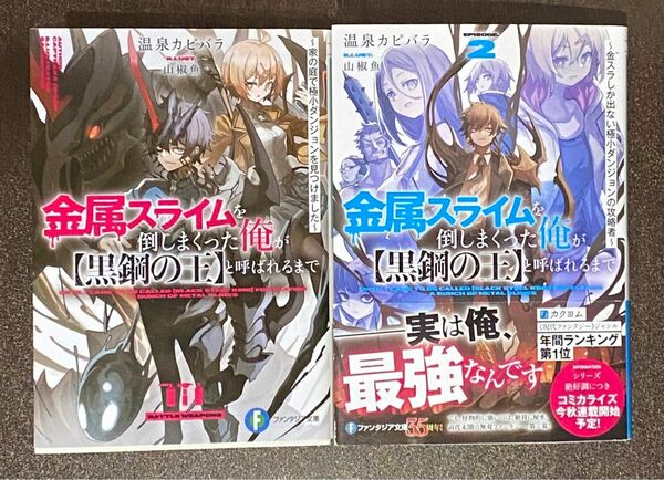 金属スライムを倒しまくった俺が〈黒鋼の王〉と呼ばれるまで　1〜2巻