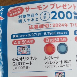 レシート懸賞応募◎のんオリジナルクオカード3000円分　ル・クルーゼレジェプレート18センチ当たるレシート1口分