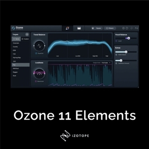  стандартный товар Ozone 11 Elements izotope DTMbo Caro 