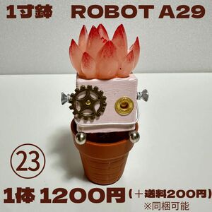 一寸鉢ROBOT A29（木製ロボット）