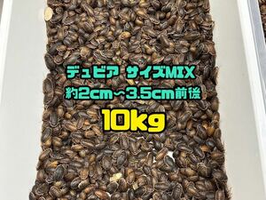 te. Via размер MIX примерно 2~3.5cm передний и задний (до и после) 10kg