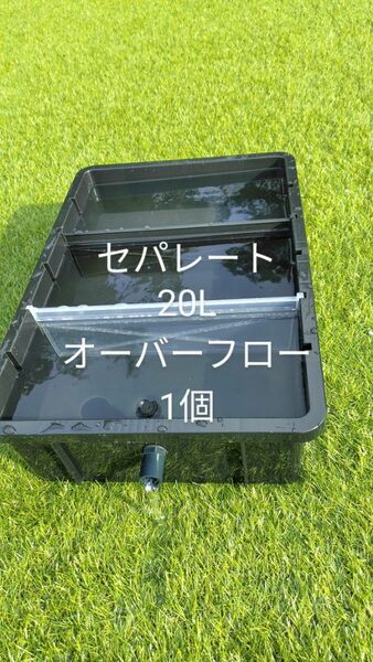 メダカ容器　20L セパレート　オーバーフロー