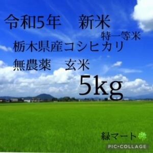 令和5年産　新米　栃木　特一等米　コシヒカリ玄米　5キロ　無農薬　単一農家