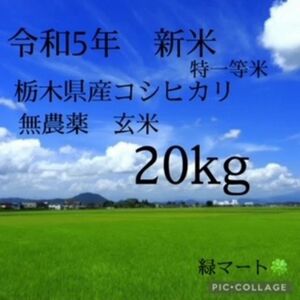 令和5年産　新米　栃木　特一等米　コシヒカリ玄米　20キロ　無農薬　単一農家