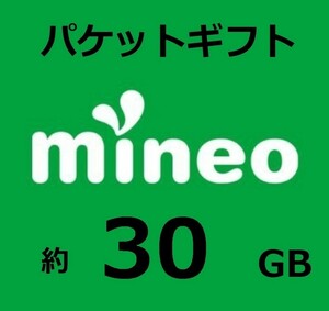 即対応 匿名 mineo 30GB　マイネオ パケットギフト