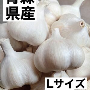 青森県産　にんにく　福地ホワイト六片　L 1kg