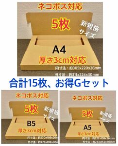 ★ Gセット新商品新規格A4:5枚・B5:5枚・A5:5枚ネコポス対応合計15枚