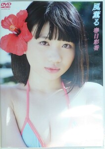 春日彩香 DVD「風薫る」GRAVISION 中古 廃盤 希少　匿名配送有