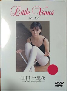 山口千里花(山口ゆう) DVD「Little Venus No.19」中古 希少　匿名配送有