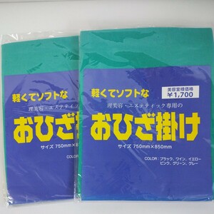 おひざ掛け　グリーン2枚　理美容　エステティック専用　オールシーズン　膝掛け　未使用品　