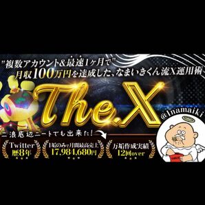 【The. X 】 複数アカウント&最短1ヶ月で月収100万円を達成した、