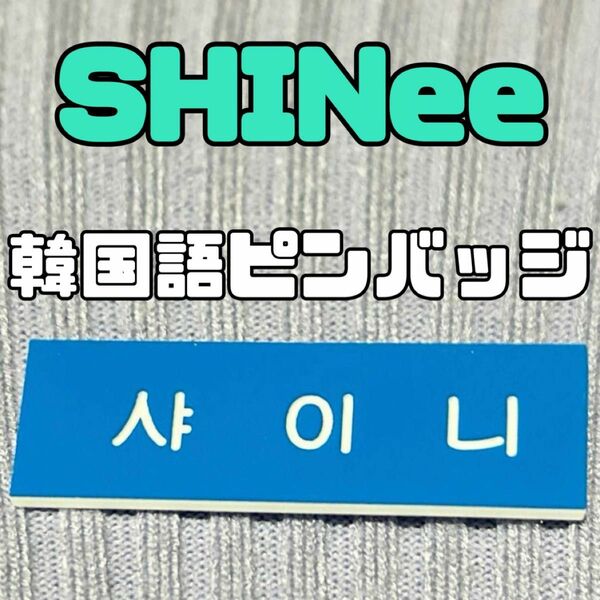 SHINee シャイニー 韓国 韓国語 ハングル グッズピン　ピンバッジ