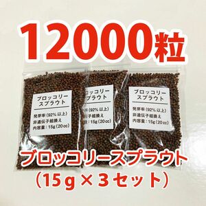 【12000粒】ブロッコリースプラウト 種 タネ　たね　60ml