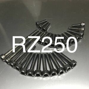 RZ250 350 4L3 ブラックメッキエンジンカバーボルト　クランクケースに優しいスチール製　ブラックメッキキャップボルト　1台分25本セット